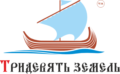 Логотип 3x9zemel.ru